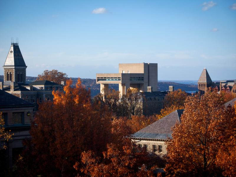 Cornell during fall