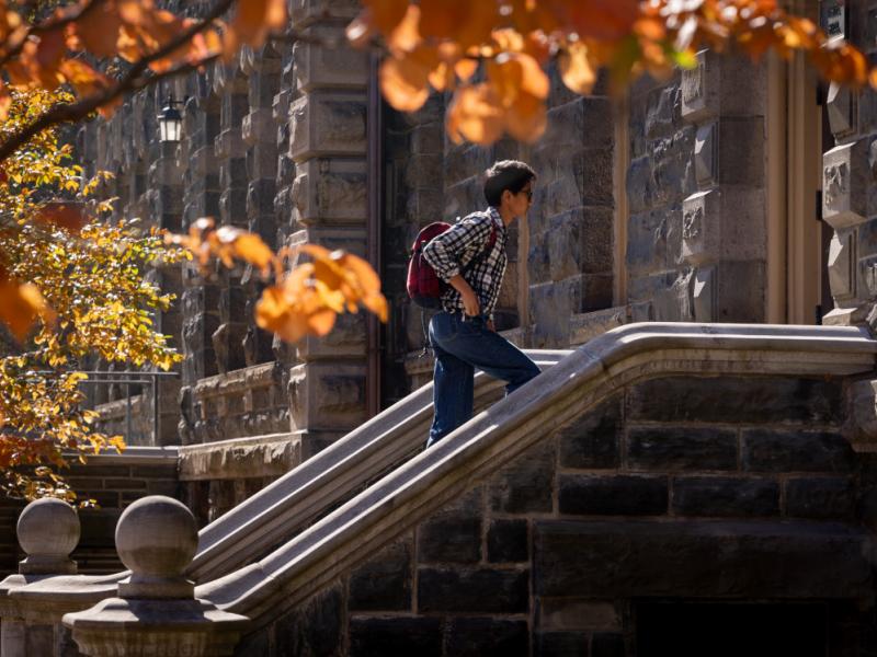 A student climbs the steps to White Hall.
