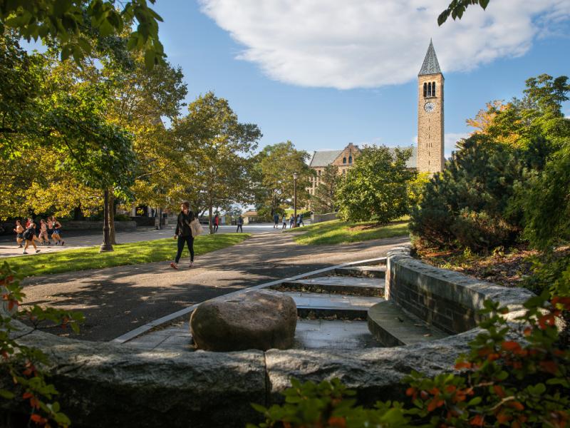 McGraw tower in summer from the Alpha Phi Alpha Centennial Memorial bench.