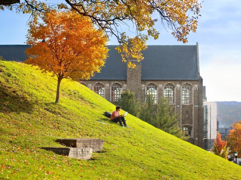A student sits on Libe Slope in the fall.