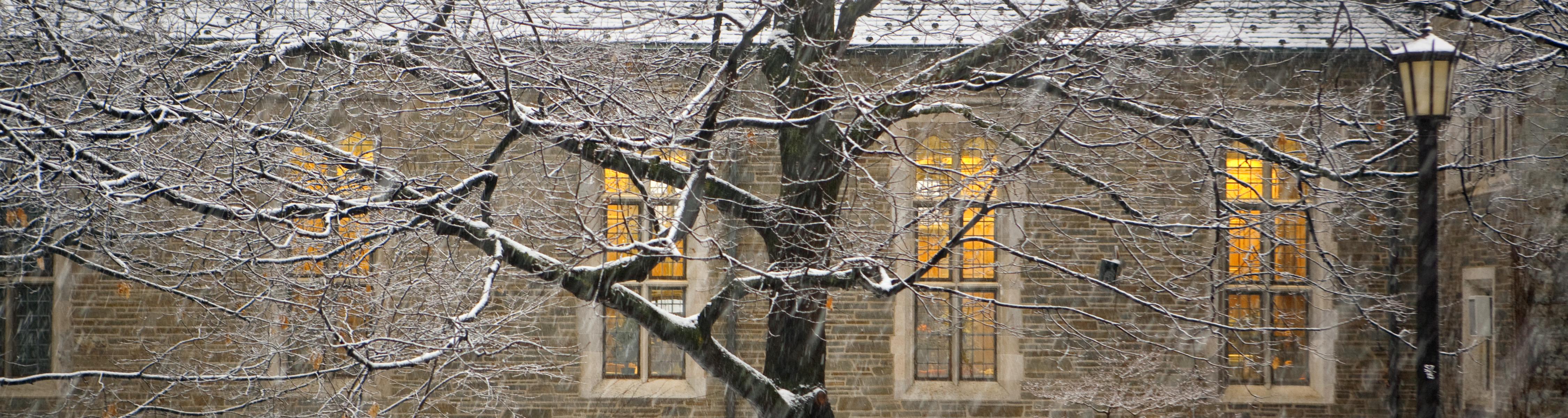 Fall Prelim Exam Schedule Cornell University Registrar