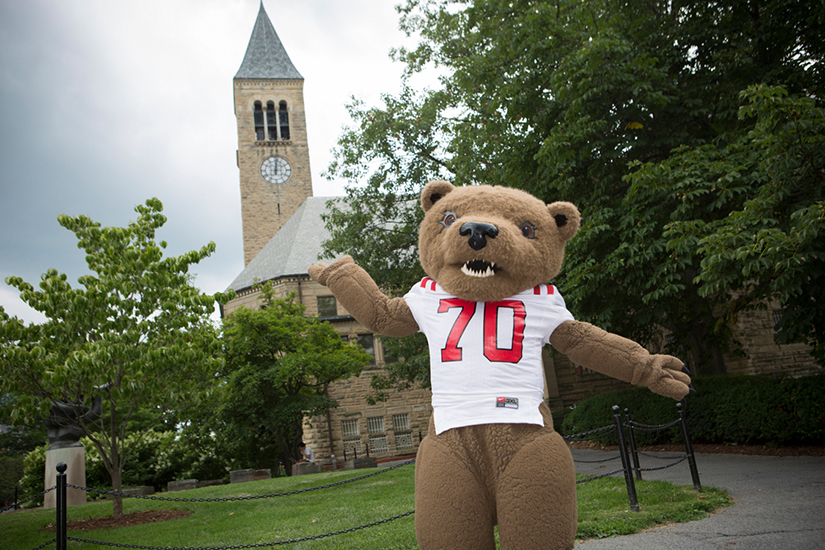 Cornell University Bear