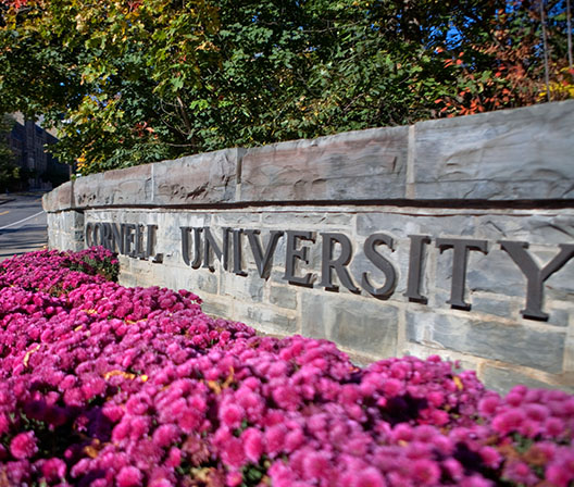 Cornell University Sign